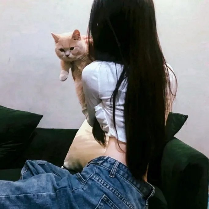 猛龙战警